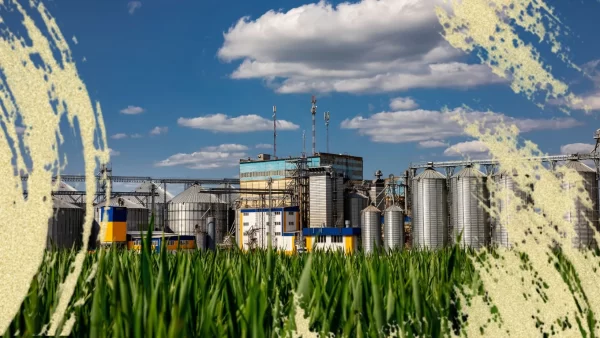 Agricultural Product Processing